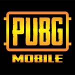 PUBG Profile Picture